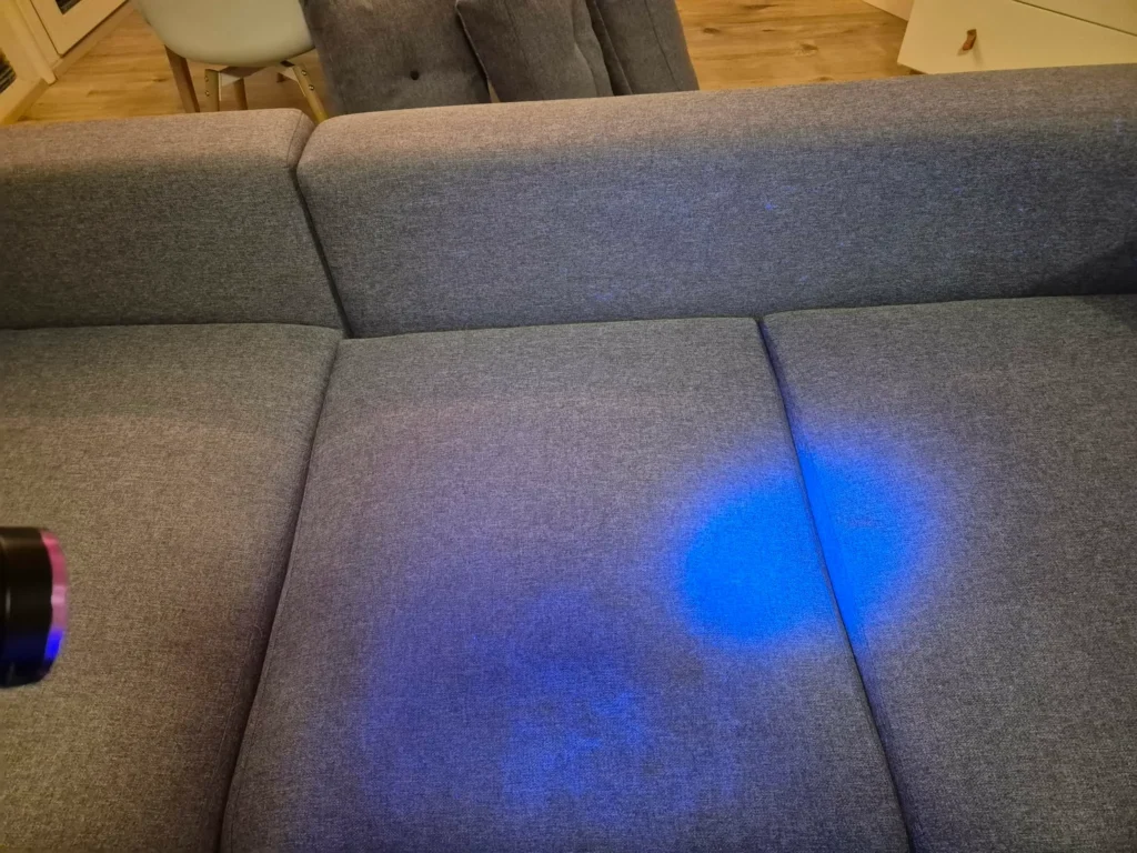 UV světlo potvrzuje, že sedačka je po čištění bez nečistot, kontrola čistoty 100%.