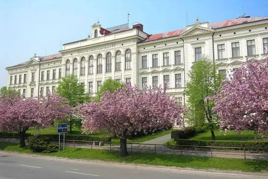 Chlumec nad Cidlinou – centrum města