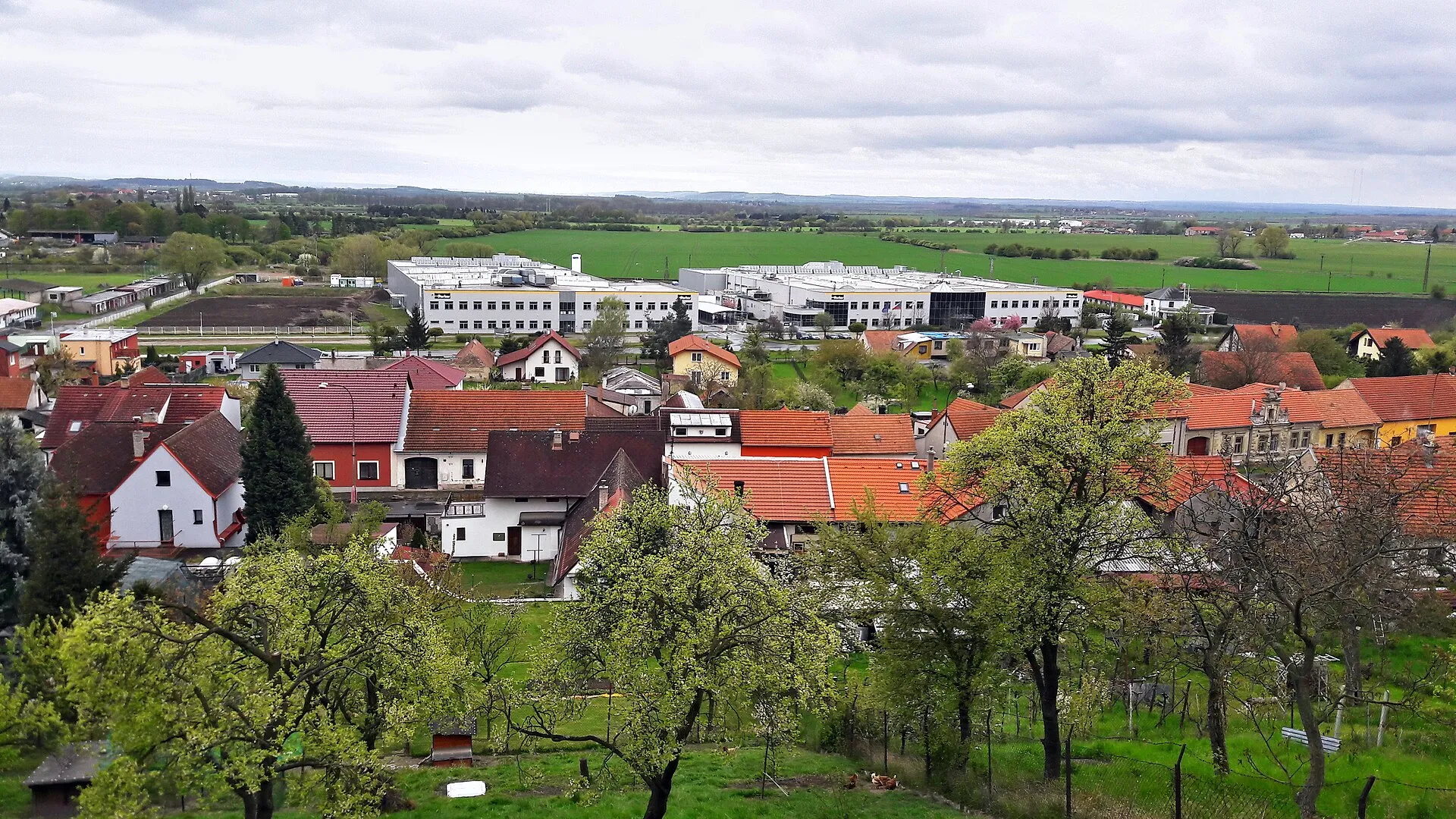 Sadská – čištění a tepování koberců v Sadské a okolí